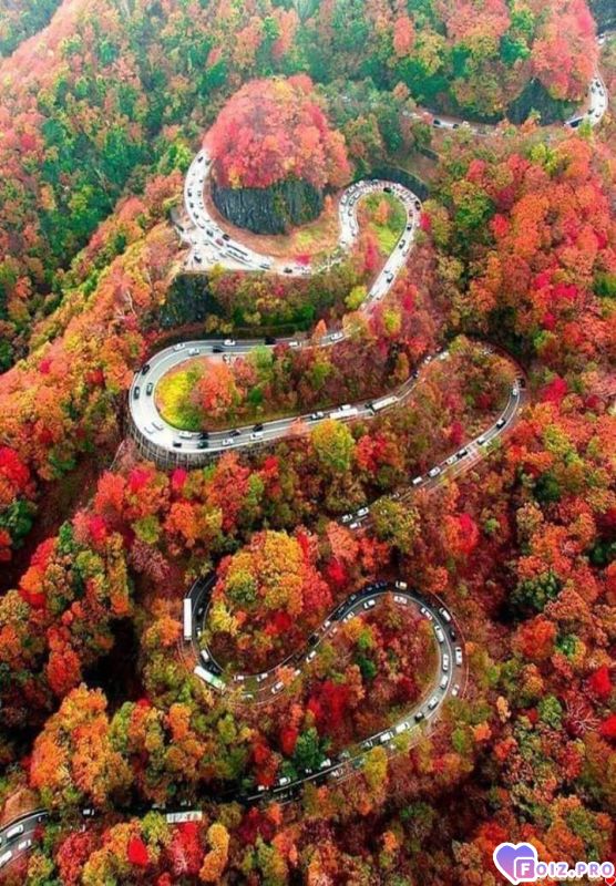 FB_IMG_1541835912714