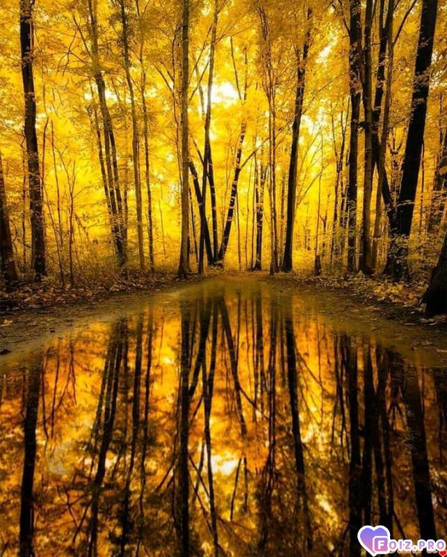 FB_IMG_1541395163986