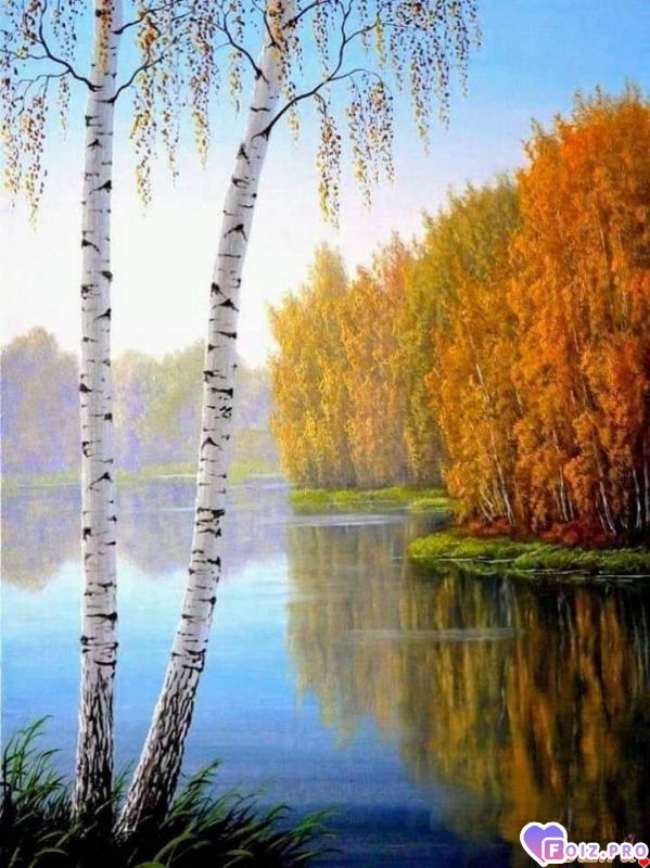 FB_IMG_1541351461898