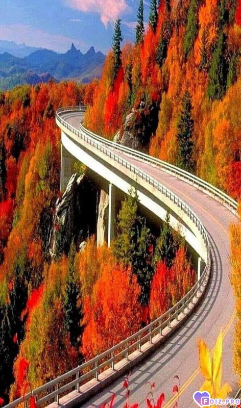 FB_IMG_1541350402813