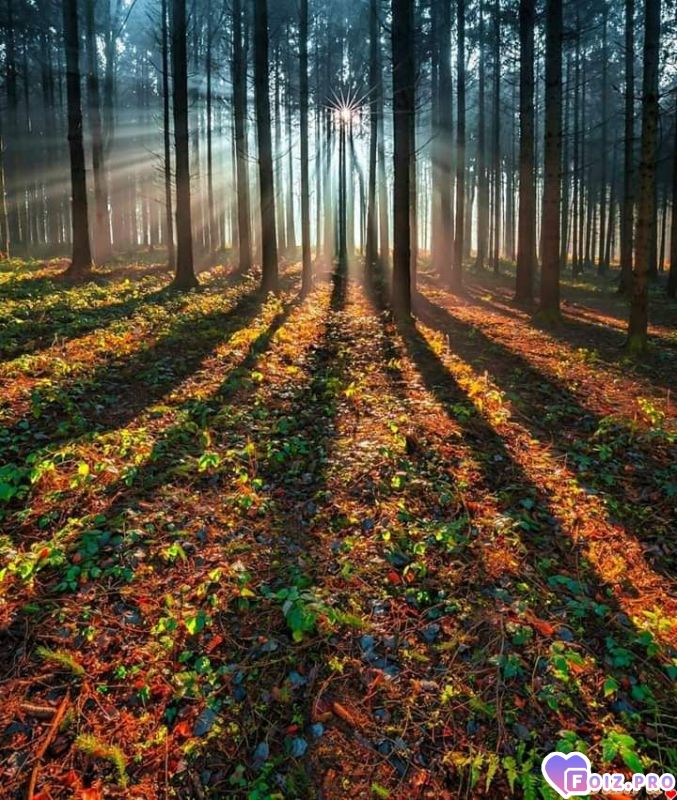 FB_IMG_1540746309143