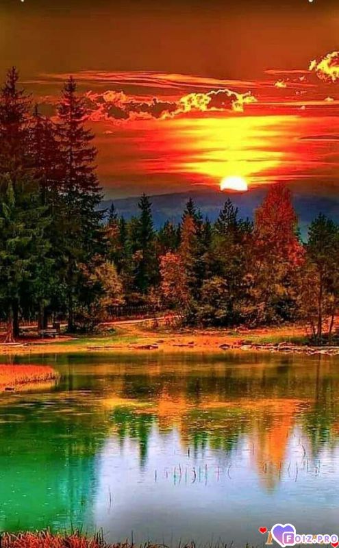 FB_IMG_1540745832931