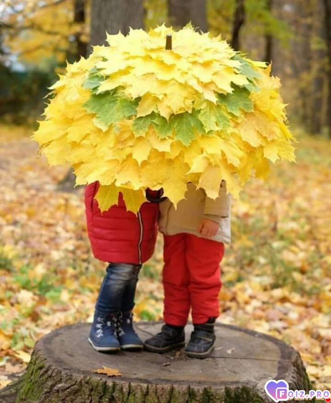 FB_IMG_1540745474773