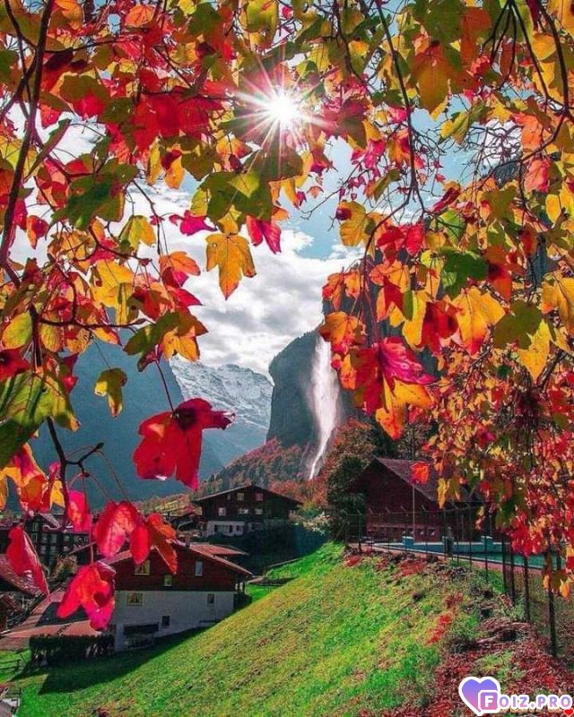 FB_IMG_1540147154515