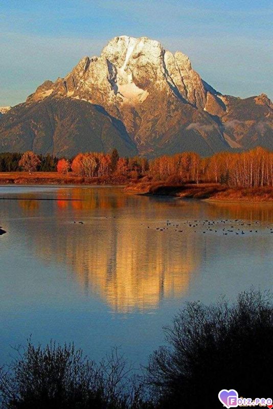 FB_IMG_1540145714544