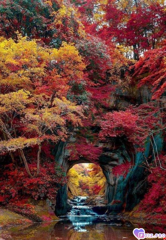 FB_IMG_1540126167287