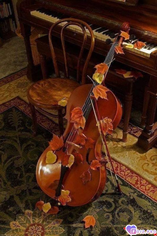 FB_IMG_1540125063989