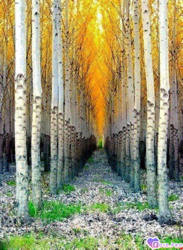 FB_IMG_1540113897395