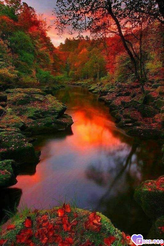 FB_IMG_1540112968751