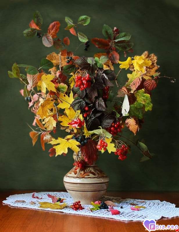 FB_IMG_1539628286643