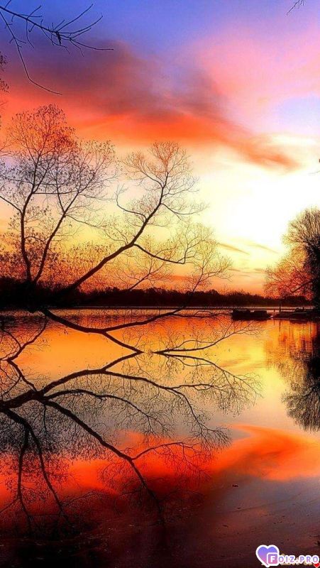 FB_IMG_1539529185308