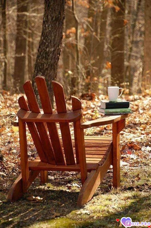 FB_IMG_1539515404122