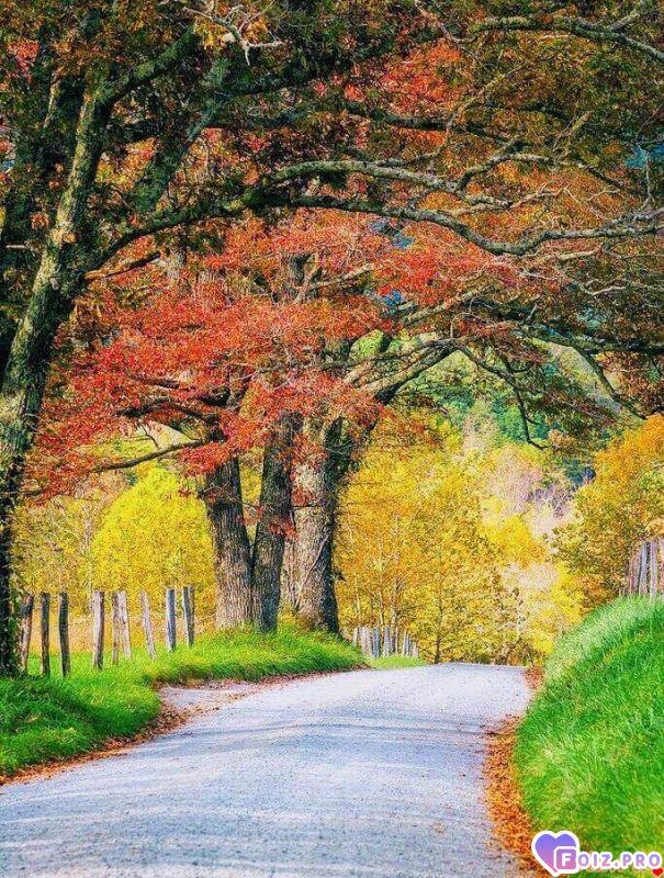 FB_IMG_1539028384859