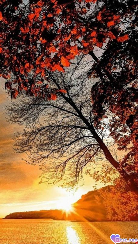 FB_IMG_1538904387170