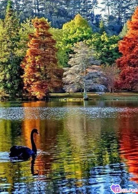 FB_IMG_1538901113416