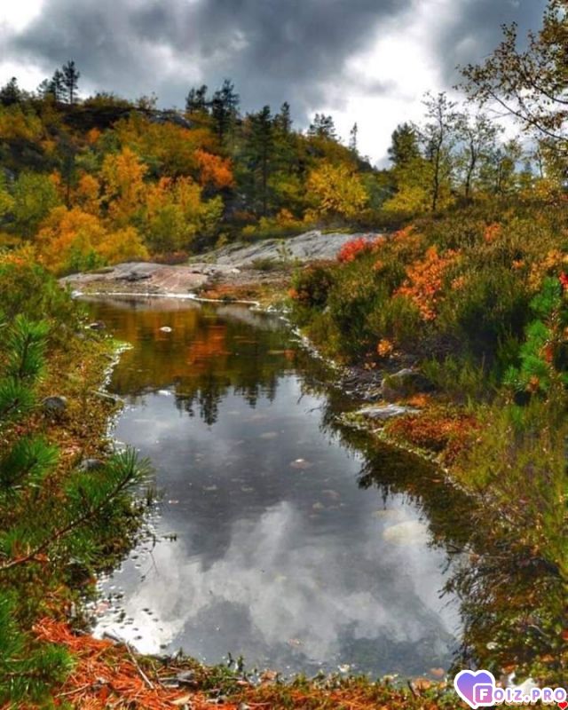 FB_IMG_1539515852247