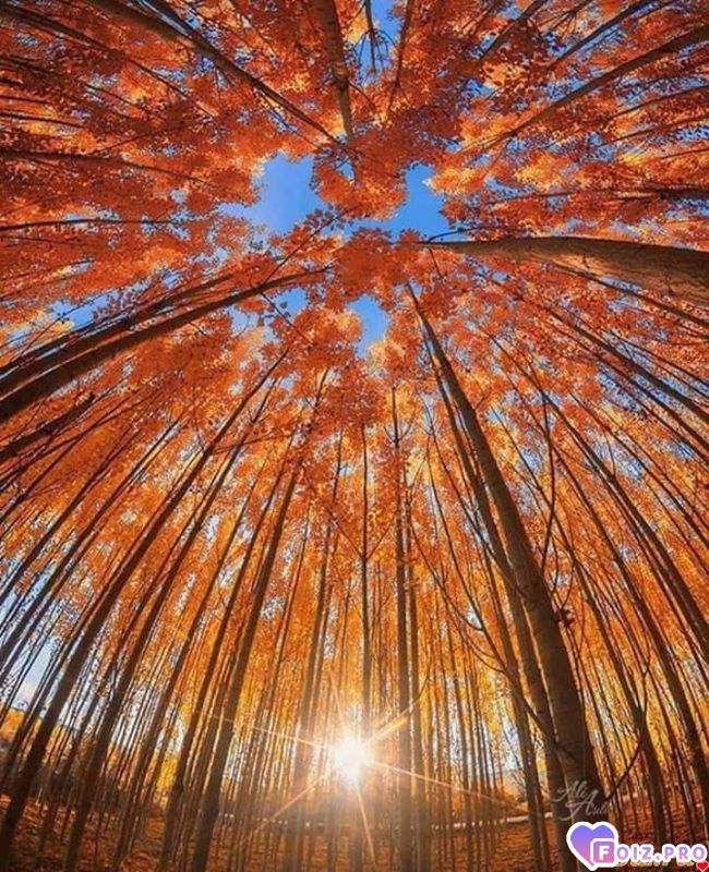 FB_IMG_1538827958819