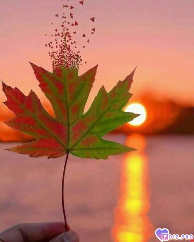 FB_IMG_1538825404785