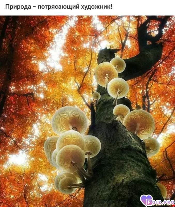 FB_IMG_1538825052228