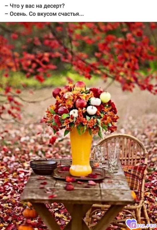 FB_IMG_1538824442031