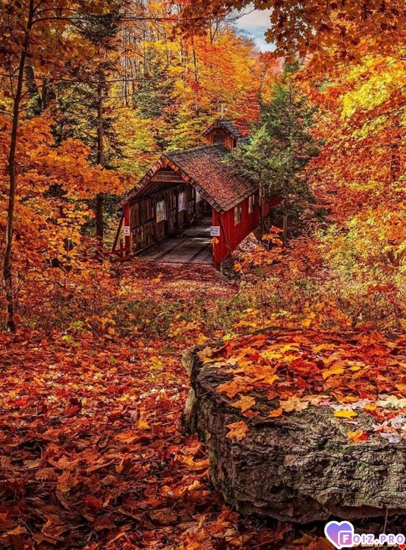 FB_IMG_1538690220484