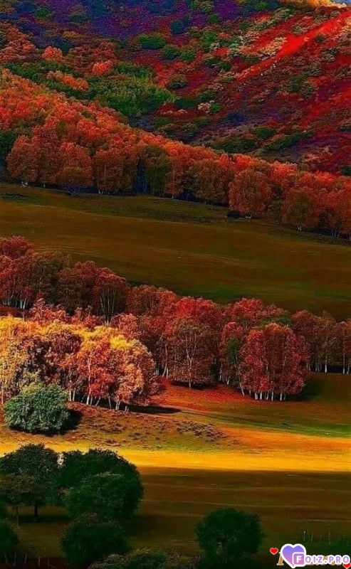 FB_IMG_1538688968125