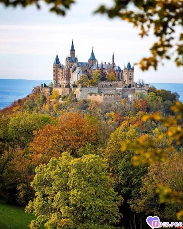 FB_IMG_1538686532809