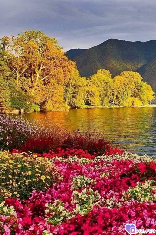 FB_IMG_1538614206342