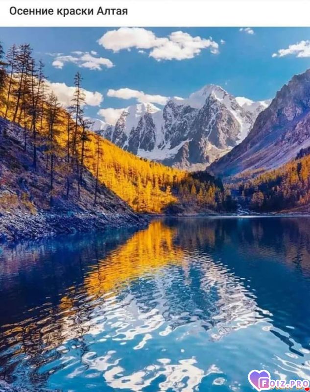 FB_IMG_1537987280553