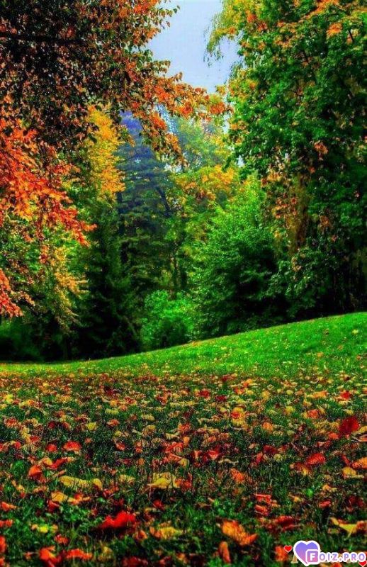 FB_IMG_1537987204526