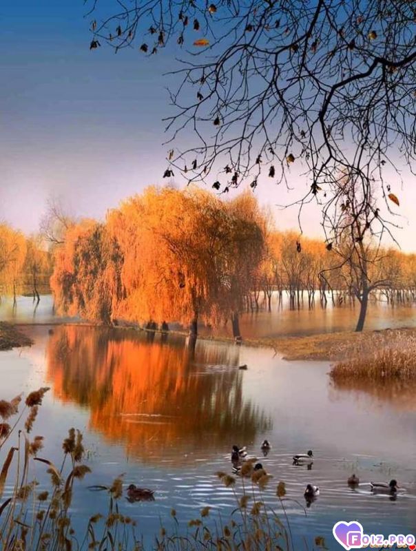 FB_IMG_1537984451128