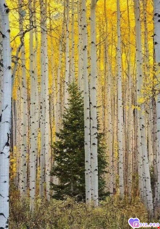 FB_IMG_1537945315623