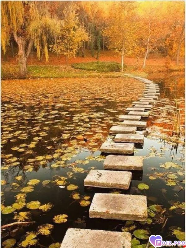 FB_IMG_1537943194034