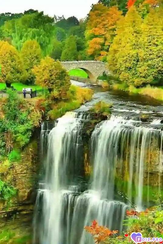 FB_IMG_1537943100341