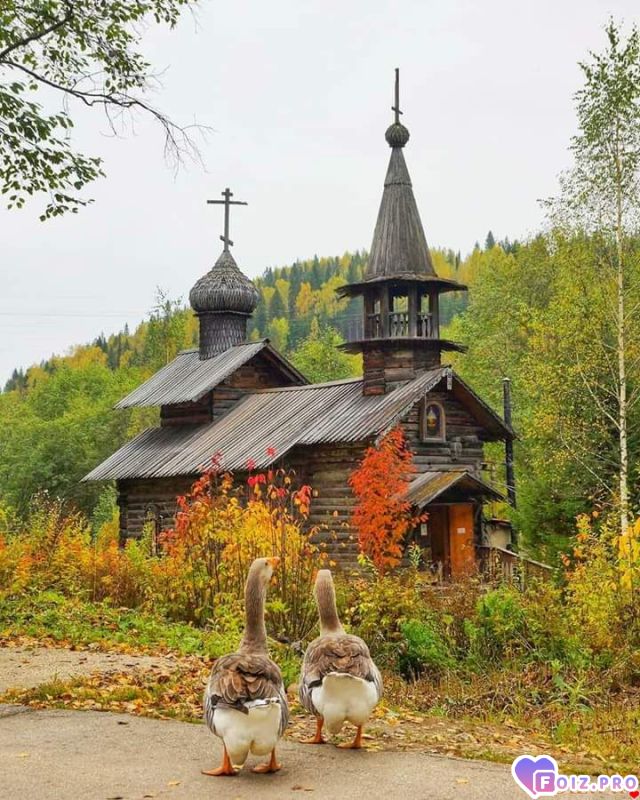 FB_IMG_1537942975704