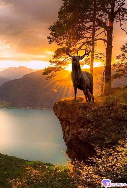 FB_IMG_1530685385272