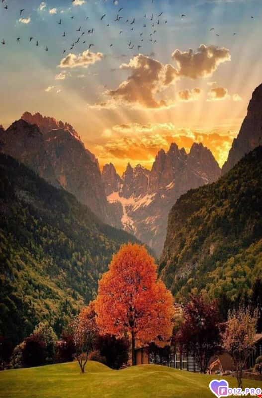 FB_IMG_1530617336261