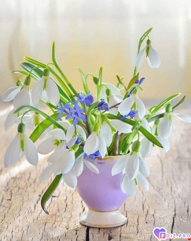 FB_IMG_1550093093521