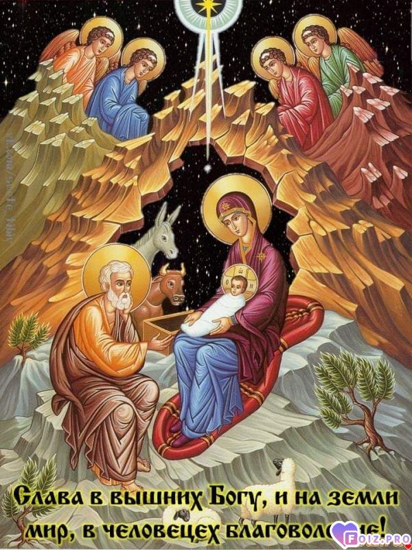 FB_IMG_1546857100618