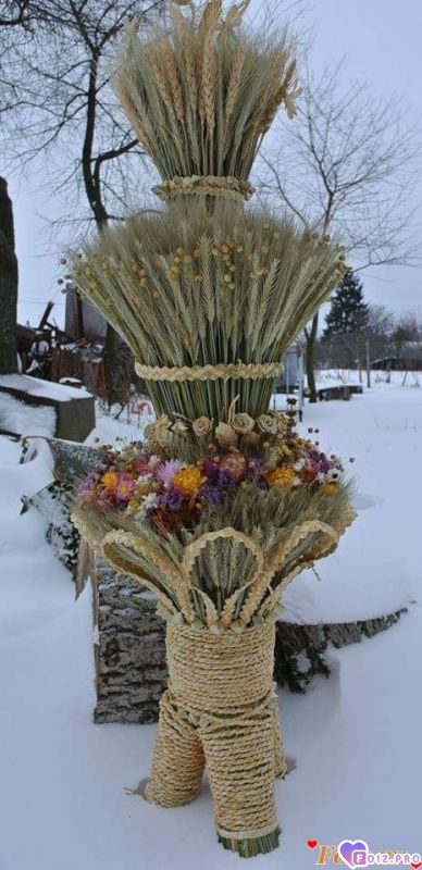 FB_IMG_1546857073273