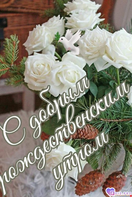 FB_IMG_1546856456334