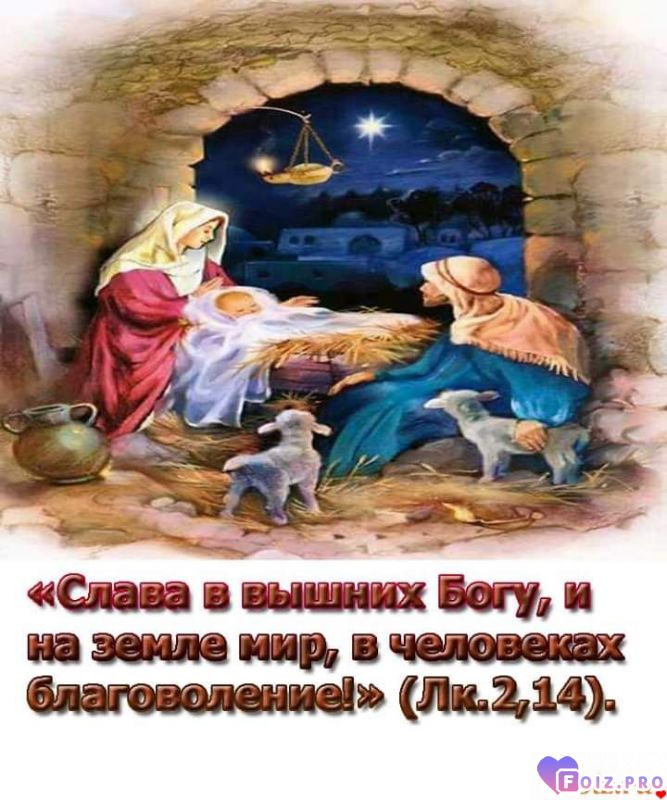 FB_IMG_1546855171596