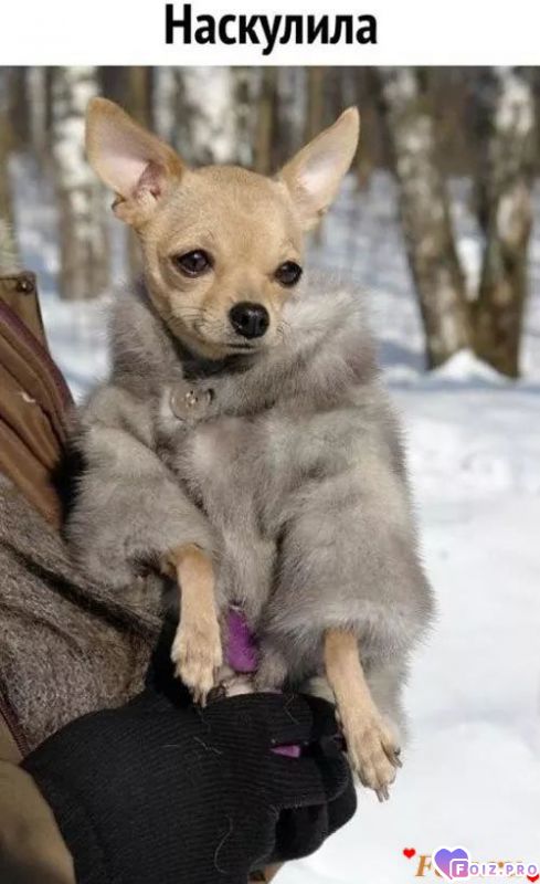 FB_IMG_1572563234777