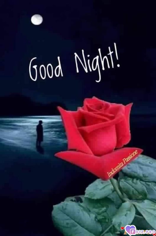 FB_IMG_1538595159811