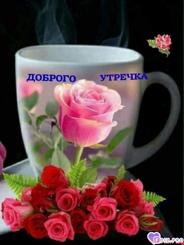 FB_IMG_1558500267240