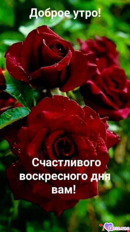 FB_IMG_1557033611073