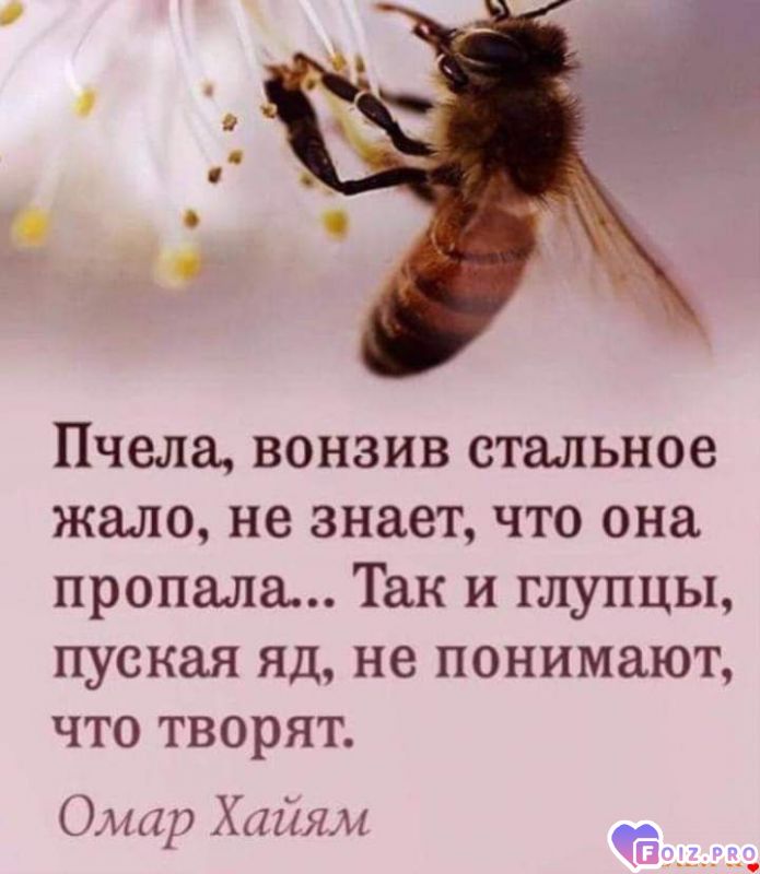 FB_IMG_1565041753186