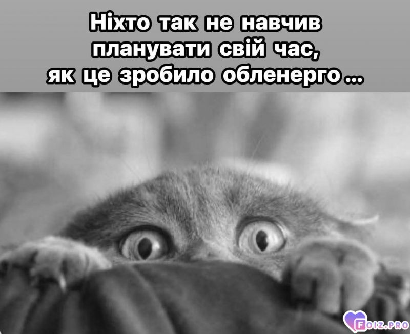 А платить то надо