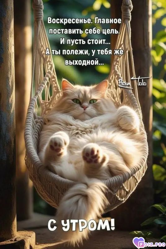 Пусть стоит, а ты полежи