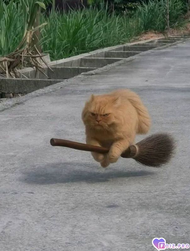 Опять наработу проспала